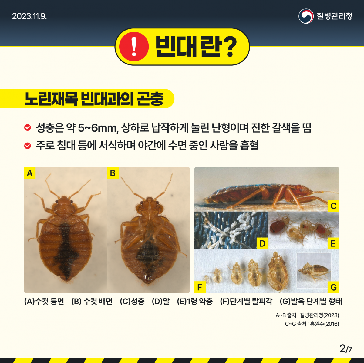 cf81d143a5a219b9f510d5c34d115a77_1699926360_3818.png