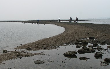 YC 갯벌체험활동